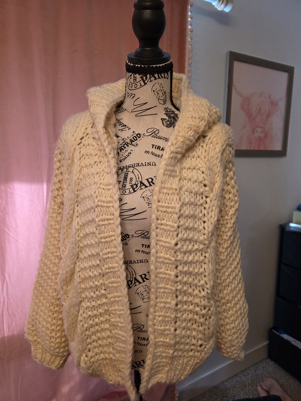 Greylin From Anthropolgie Cream Chunky Hooded Cardigan